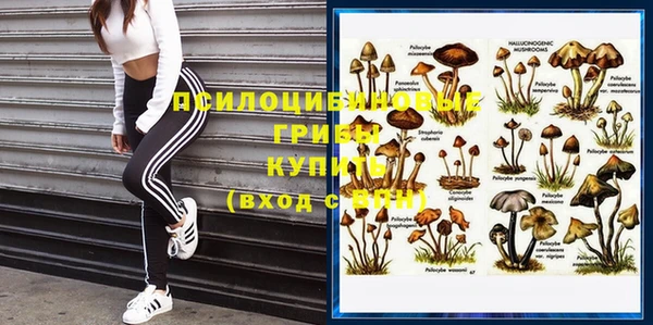 метадон Заводоуковск